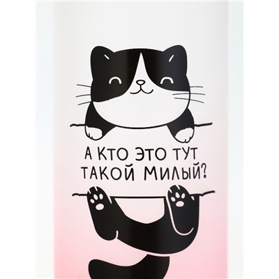 Бутылка для воды пластиковая «Котя», 300 мл