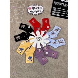 носки для детей 10шт 1981571-2