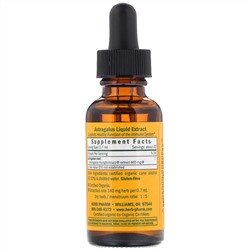 Herb Pharm, Астрагал, 1 жидкая унция (30 мл)