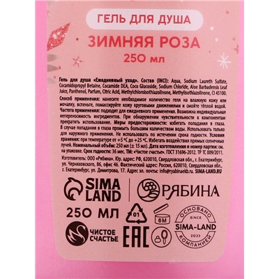 Новогодний подарочный набор косметики «Уютной зимы», гель для душа 250 мл и мочалка для тела, Чистое счастье