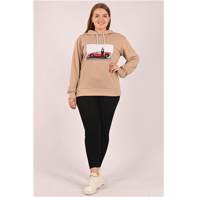 Толстовка № 1253