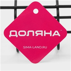 Держатель для кухонных принадлежностей подвесной Доляна, 28.5×25.5×16 см, чёрный