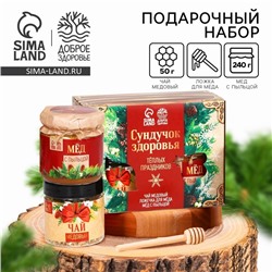 Подарочный набор новогодний «Тёплых праздников», мёд с пыльцой 250 г, чай 50 г, ложка