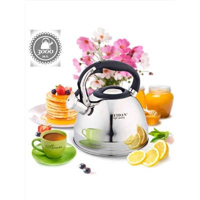 ZEIDAN Чайник Z-4155