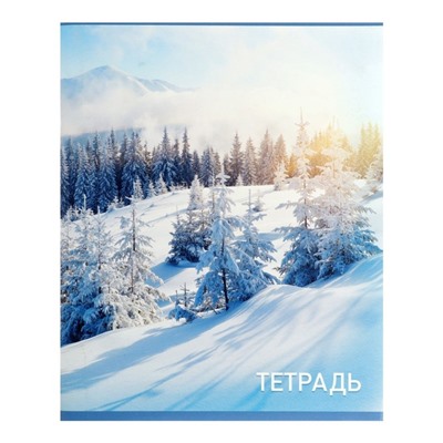 Набор тетрадей, 96 листов в клетку, Calligrata «Природа», серые листы, 4 штуки