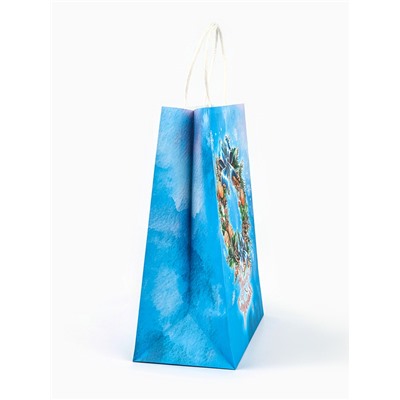 Пакет бумажный подарочный новогодний крафт «Чудеса случаются» 27×21×11 см