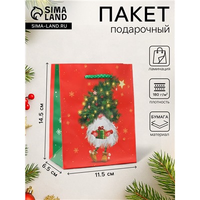 Пакет подарочный «Новогодний домовёнок», 11.5×14.5×6.5 см