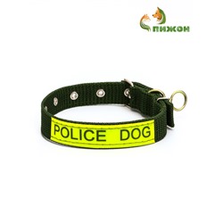 Ошейник двухслойный с вертлюгом, 2.5 см, зелёный