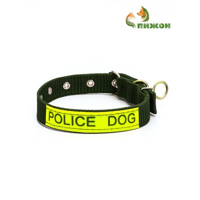 Ошейник двухслойный с вертлюгом, 2.5 см, зелёный