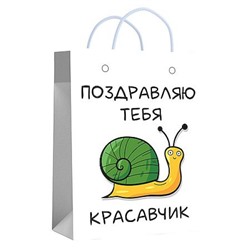 Пакет бумажный 11х14х6 см "Красавчику" ламинированный 72742 Centrum