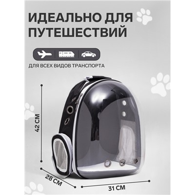 Рюкзак для переноски животных, 31×28×42 см, прозрачный, чёрный