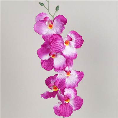 Цветок искусственный Орхидея 66 см 6 цветков / 0341-53 /уп 400/800/А