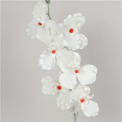 Цветок искусственный Орхидея 66 см 6 цветков / 0341-53 /уп 400/800/А