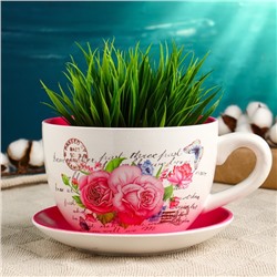 Горшок для цветов «Эмма», 1.3 л, 19×15×10 см, керамика, с поддоном, белый, розовый, Greengo