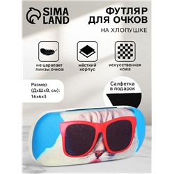 Футляр для очков на хлопушке, с принтом, размер 16×6×3 см, разноцветный