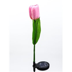 Штекер с подсветкой «Тюльпан», на солнечной батарее, розовый, 8×70 см