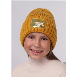 CLEVER Шапка 423444ап