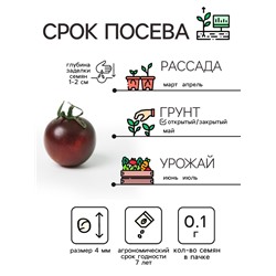 Семена Томат "Черный Мавр", 0,1 г