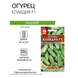 Семена Огурец «Клавдия», F1, партенокарпический, раннеспелый, 10 шт., «Агрофирма АЭЛИТА»