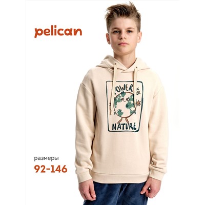 PELICAN Толстовка BFNK3370/2