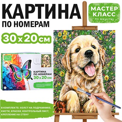 Набор для рисования "Картина по номерам 30х20 см.  Забавный щенок"