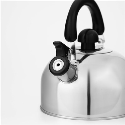 Чайник Доляна «Чёрная ночь», 2 л, со свистком, индукция, нержавеющая сталь, хромированный