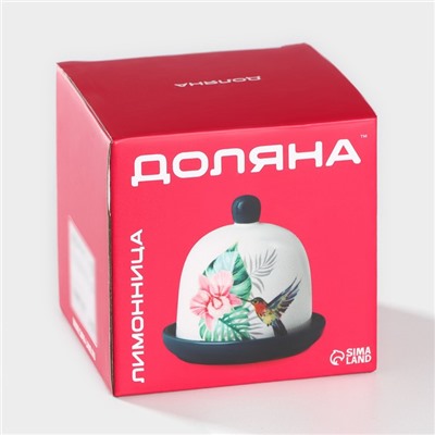 Лимонница Доляна «Тропики», 9×9 см, доломит, белая