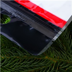 Пакет подарочный новогодний, с zip - lock застежкой, «Снеговик», 15×23±1 см