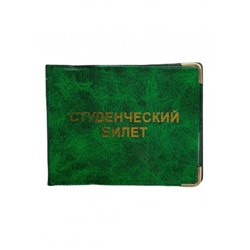 Обложка для удостоверения #22595982