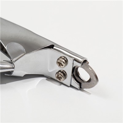 Когтерез-гильотина с прорезиненными ручками, 12×7.5×1.4 см, эконом, микс цветов