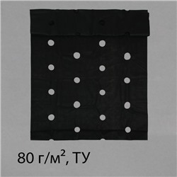 Материал мульчирующий, с перфорацией (4 ряда), 20×1.6 м, плотность 80 г/м², спанбонд с УФ-стабилизатором, чёрный, Greengo, Эконом 30%
