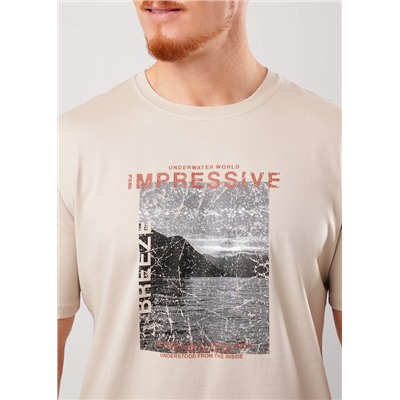 Футболка мужская