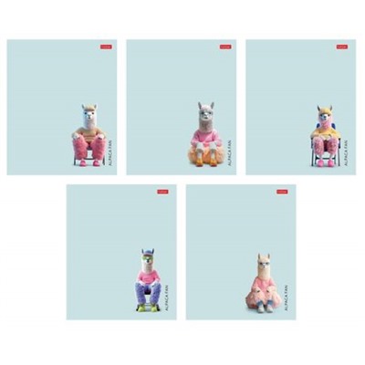 Тетрадь  48л клетка пластиковая обложка "Alpaca fan" (090249) Хатбер