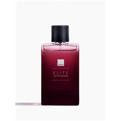 Туалетная вода для мужчин Elite Gentleman, 90 мл