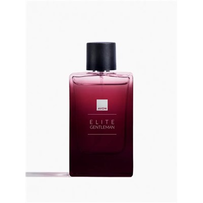Туалетная вода для мужчин Elite Gentleman, 90 мл
