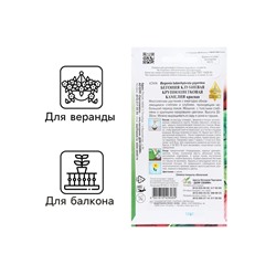 Семена Цветов Бегония крупноцветковая «Камелия», красная, 10 шт., «Дом семян»