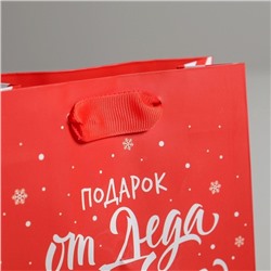 Пакет подарочный новогодний ламинированный «Подарок от Деда Мороза», S 12×15×5.5 см