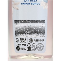 Новогодний подарочный набор косметики «Уютной зимы»: гель для душа и шампунь для волос, 2×250 мл, Чистое счастье