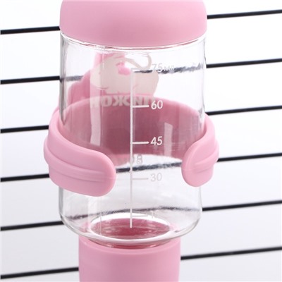 Поилка для грызунов «Пижон», 80 мл, розовая