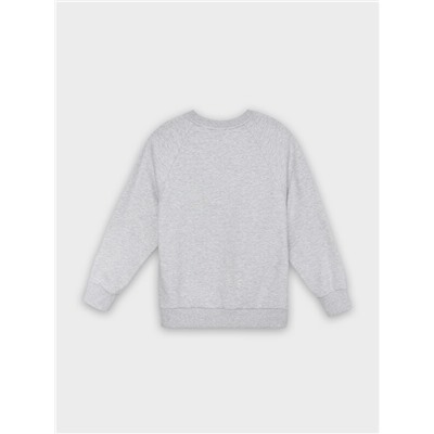 СВИТШОТ ДЛЯ МАЛЬЧИКОВ 123500