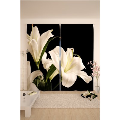 Натали Шторы 10837