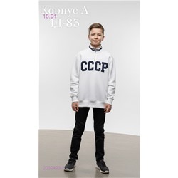 толстовка 2052423-3