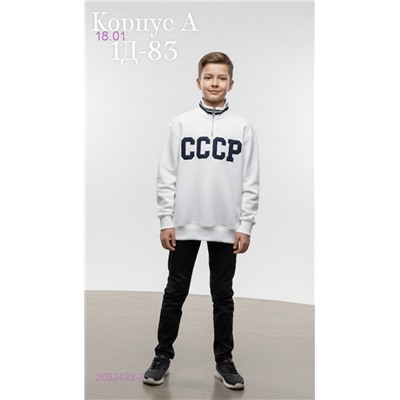 толстовка 2052423-3