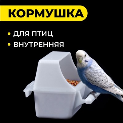Кормушка для птиц внутренняя, 7.5×5.5×9 см