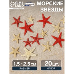 Набор натуральных морских звезд, 1,5 - 2,5 см, 20 шт, красные - белые