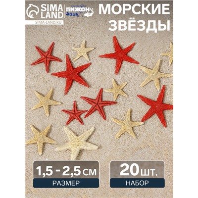 Набор натуральных морских звезд, 1,5 - 2,5 см, 20 шт, красные - белые