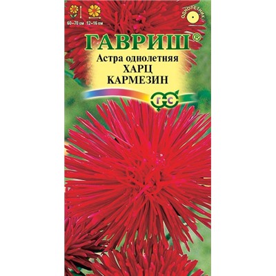 Астра Харц Кармезин (Код: 91272)