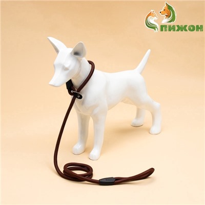 Ринговка для собак, 130×1 см, коричневая