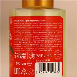 Подарочный набор «Снегопад чудес»: гель для душа и пена для ванны, 2×100 мл, URAL LAB