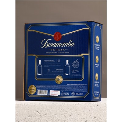 Подарочный набор «Богатства»: гель для душа, шампунь для волос, мочалка для тела, Чистое счастье